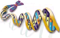 Your DNA helix will reveal your Scottish genetic genealogy through accurate DNA testing